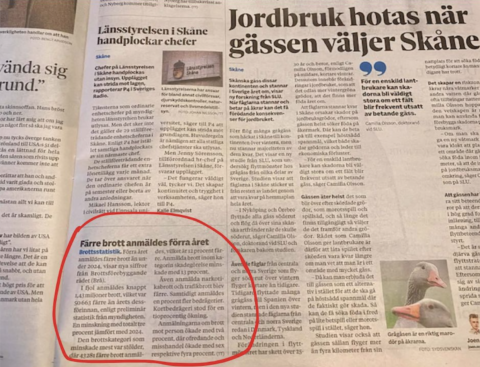 Medan rubrikerna fortsätter att måla upp bilden av ett samhälle i fritt fall visar statistiken något betydligt mindre apokalyptiskt: de anmälda brotten minskar. Ändå är det inte den långsiktiga utvecklingen som dominerar nyhetsflödet, utan de mest dramatiska enskildheterna.